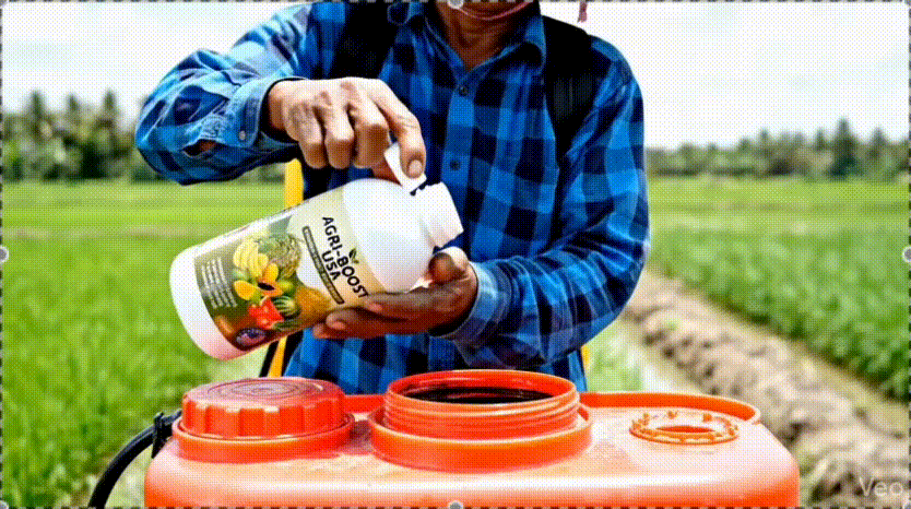 presentation_gif_1